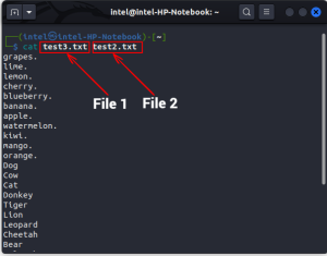 How to Use cat Command in Linux (with Examples) | Beebom