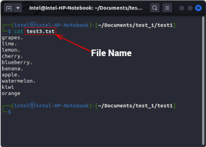 How to Use cat Command in Linux (with Examples) | Beebom