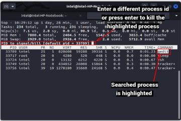 How to Kill a Process in Linux (2024 Guide) | Beebom