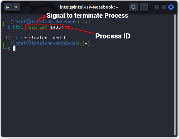 How to Kill a Process in Linux (2024 Guide) | Beebom