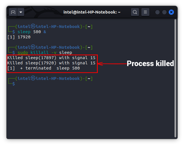 kill all processes named sleep 