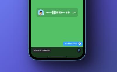 how to post voice status on whatsapp