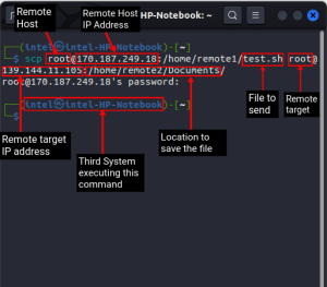 How to Use scp Command to Securely Transfer Files in Linux | Beebom