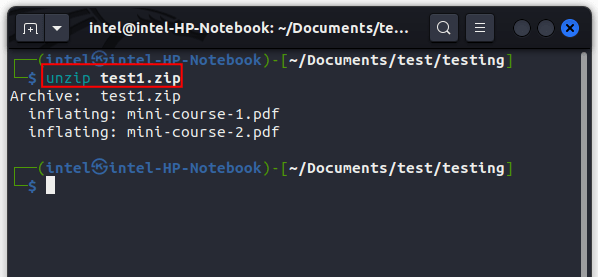 unzip a single file