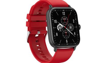 Gizmore GizFit Flash launched