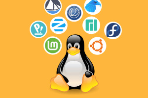 12 Best Linux Distros You Should Use