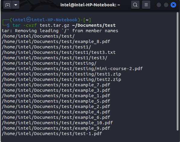 compressing files using gzip