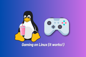 10 Best Linux Distros for Gaming in 2024
