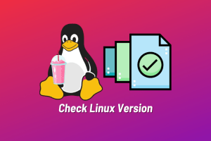 How to Check the Linux OS Version (6 Ways)