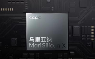 MariSilicon chips disbanded