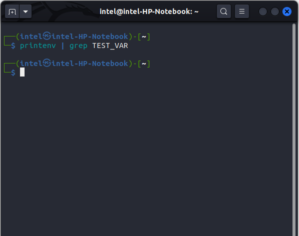 checking if the variable is an environment variable or not