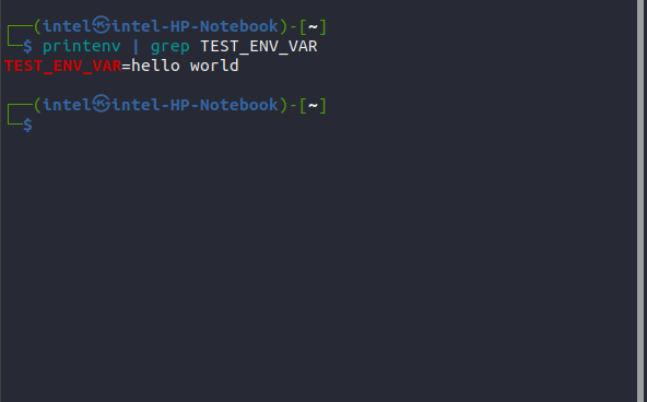 printing the value of the environment variable