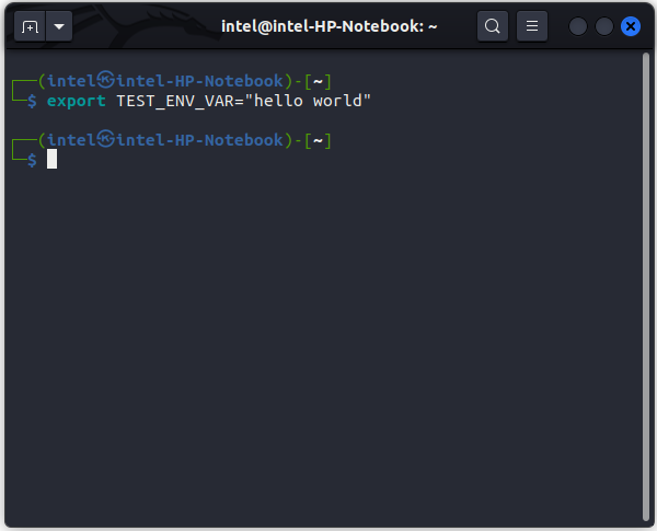 command to set a new environment variable in Linux