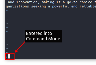 How to Search Text in Vim (3 Methods) | Beebom