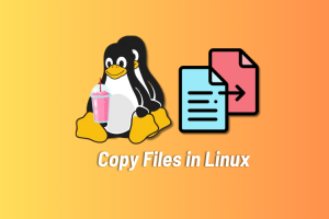 How to Copy Files in Linux (2 Ways)