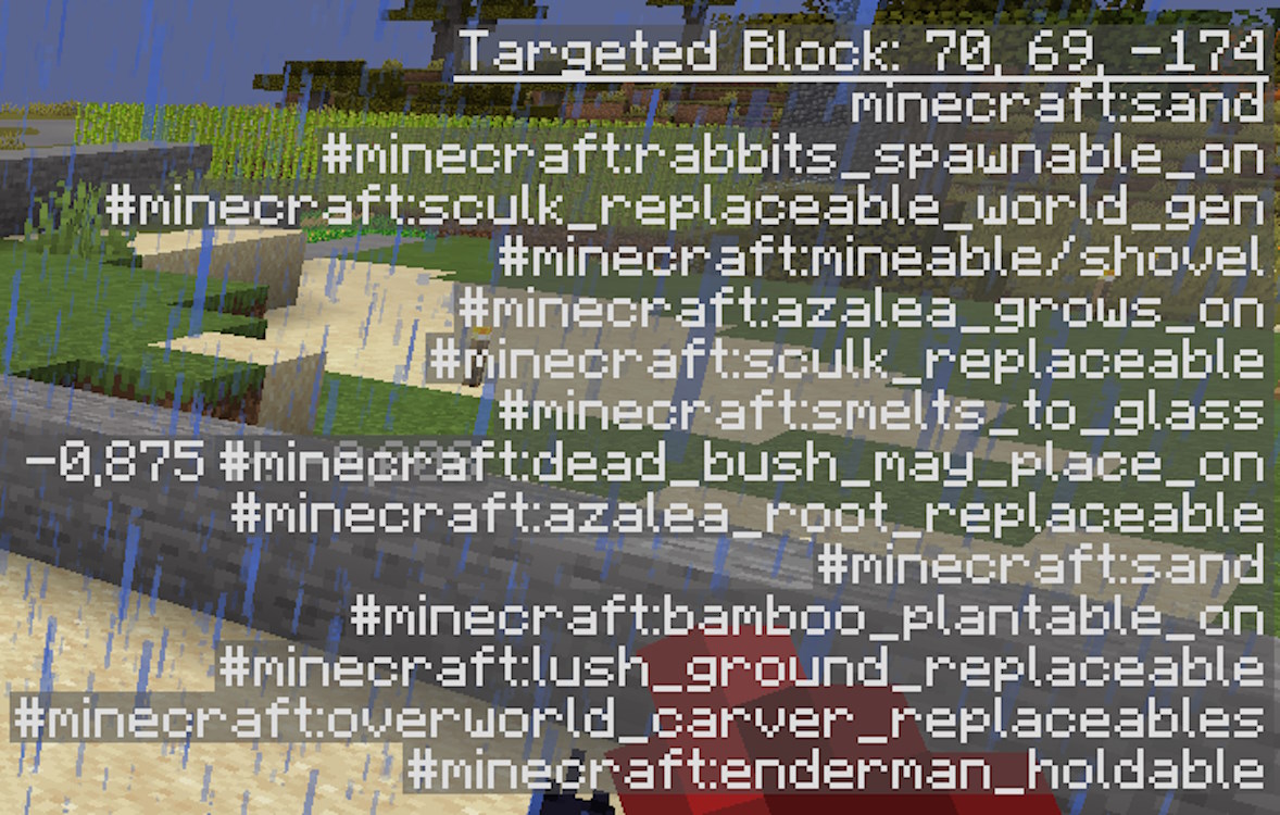 Targeted block section on the right side of the debug screen