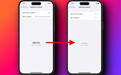 downgrade from ios 17 beta to ios 16