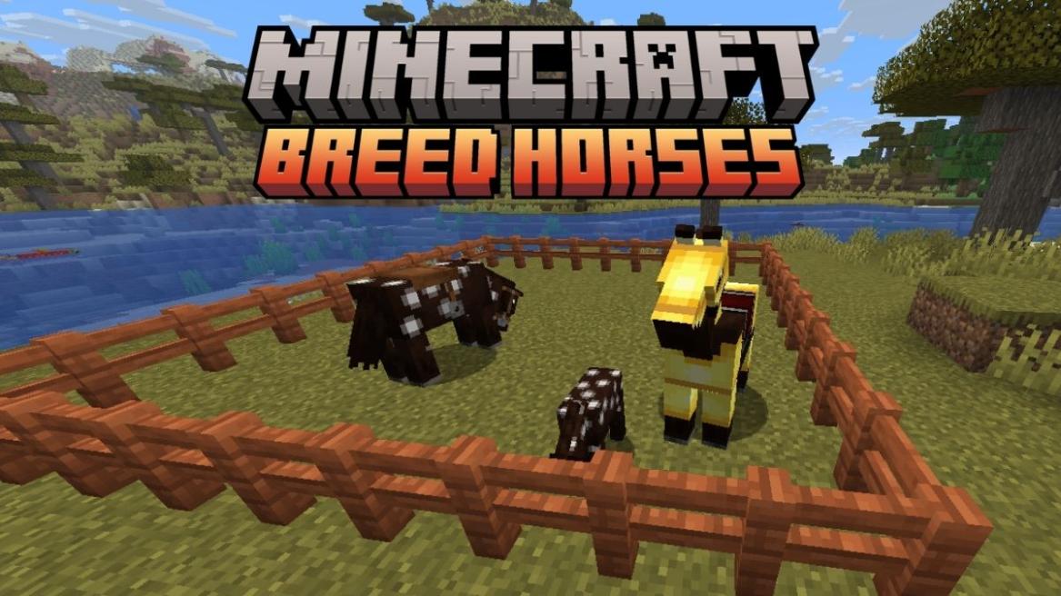 How to Breed Horses in Minecraft