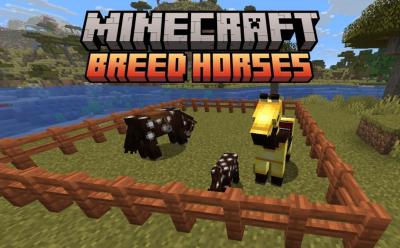 How to Breed Horses in Minecraft
