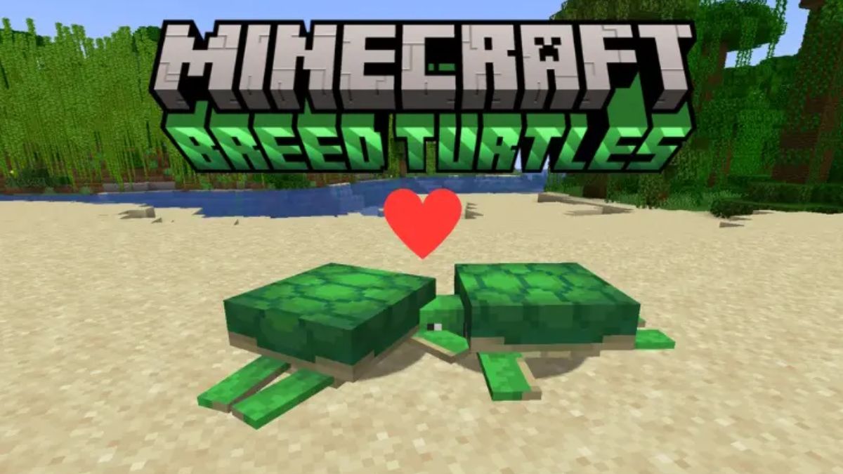 How to Breed Turtles in Minecraft