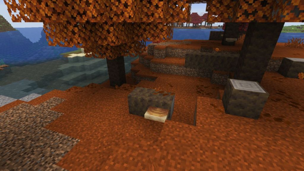 Shelf Mushroom