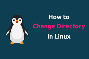 How to Change Directory in Linux Terminal