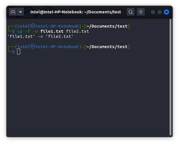 forcefully copying the file without write permissions