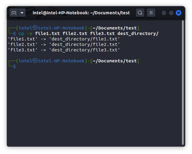 using the cp command to copy multiple files