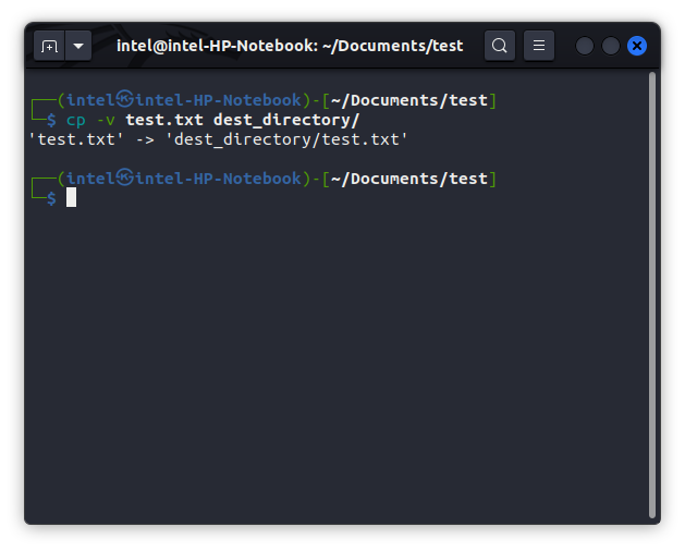 using the cp command to copy a file in Linux