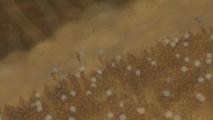 Naruto: Every Version of Rasengan (Explained) | Beebom