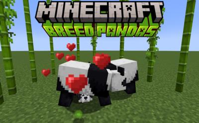 Pandas breeding in Minecraft