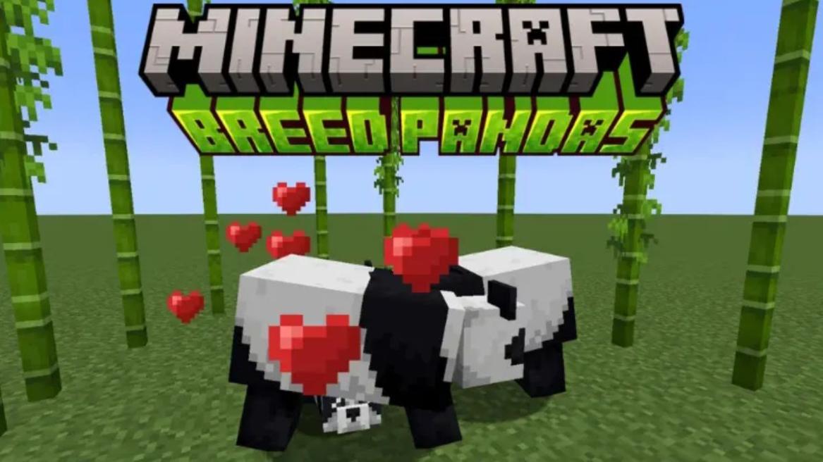 How to Breed Pandas in Minecraft