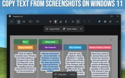 copy text from screenshots on windows 11