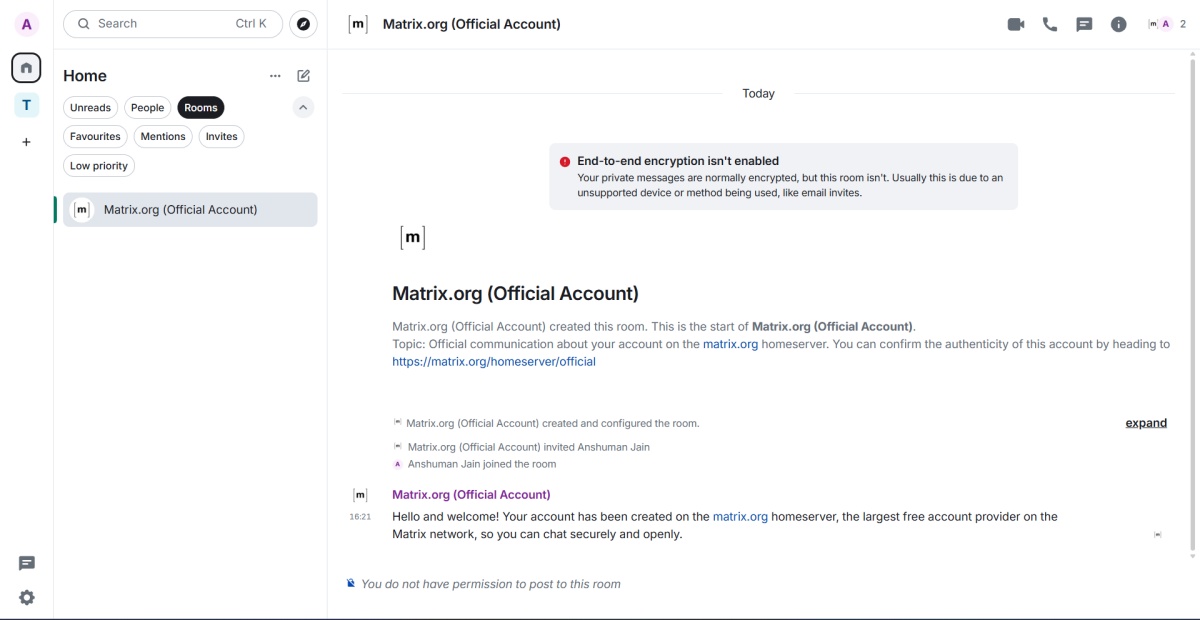 Element Discord Alternative screenshot