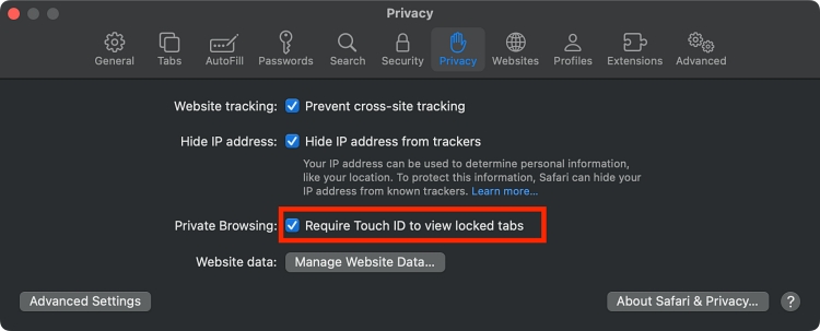 Safari privacy settings