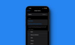 How to Change Default Notification Sound and Haptics on iPhone?