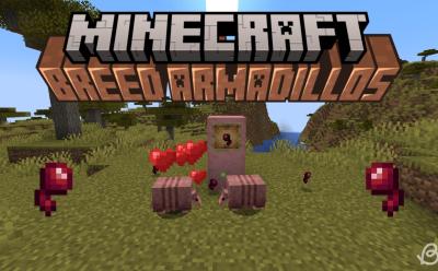 Two adult armadillos breeding and making a baby armadillo in Minecraft