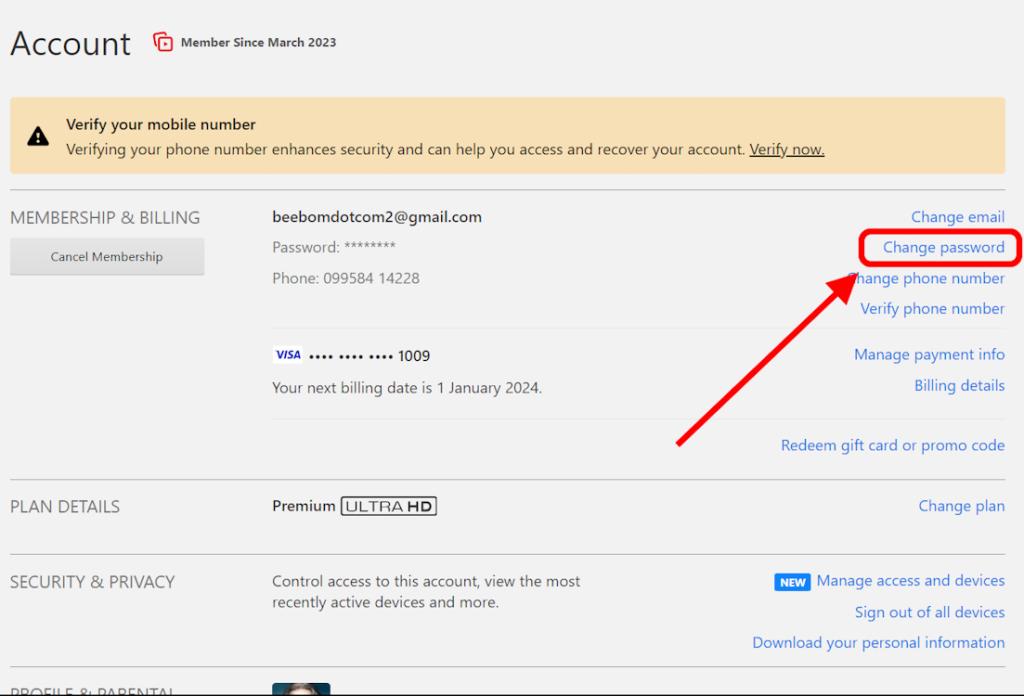 Finding the option to Change Password on Netflix Web version