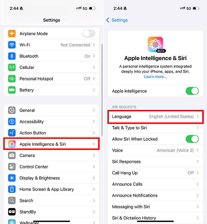 Changing Siri language on iPhone settings