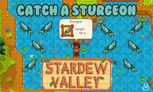 How to Catch a Sturgeon in Stardew Valley