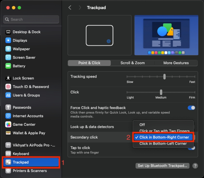 Trackpad settings on Mac