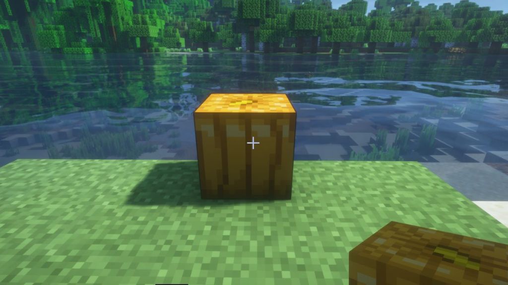 place a pumpkin in minecraft to carve it