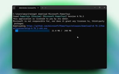 windows package manager demo