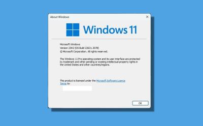 winver showing windows version