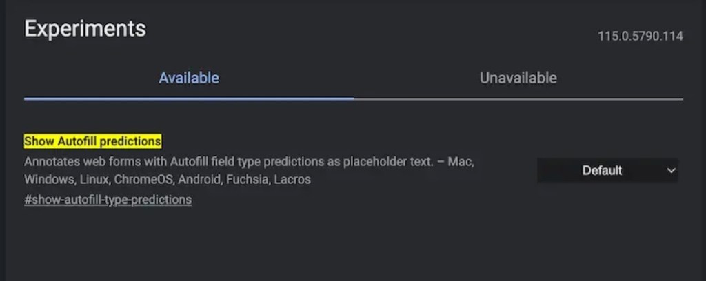 show autofill predictions Chrome flag