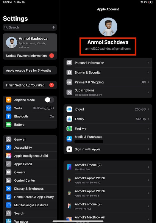 Apple Account Information on iPad