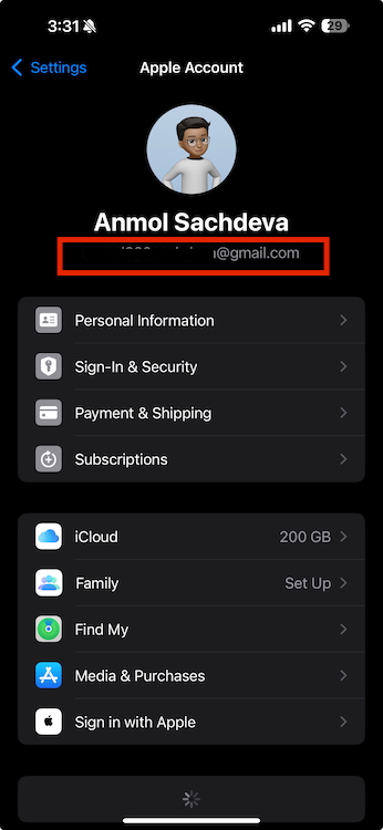 Apple Account Information on iPhone