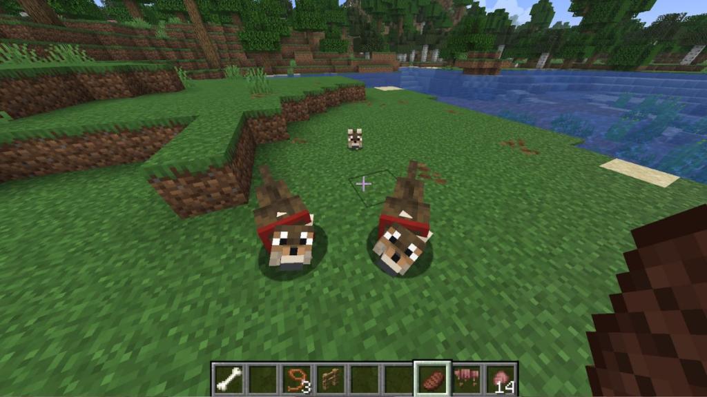 Breed Wolves in Minecraft