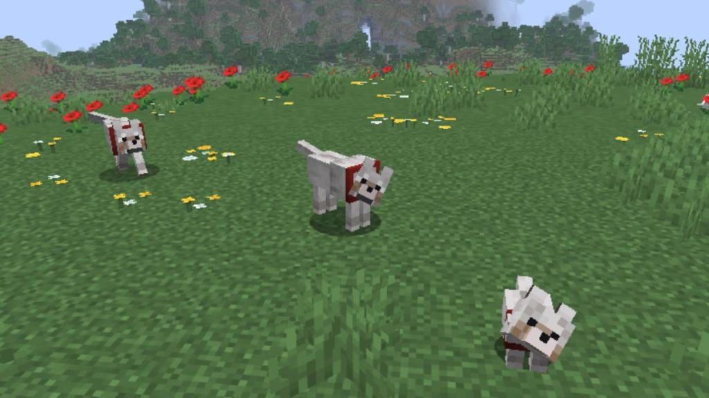 All Wolf (Dog) Variants in Minecraft and Where to Find Them | Beebom