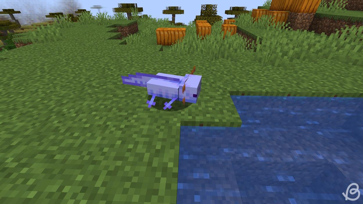 7 Rarest Mobs In Minecraft And How To Get Them Beebom 7 Rarest Mobs In Minecraft And How To Get Them Beebom